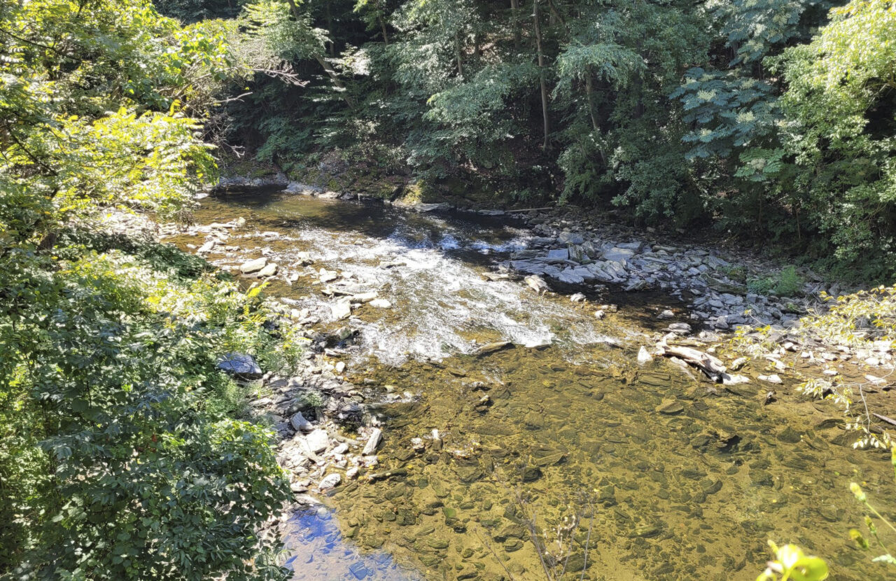 VOLUNTEER SIGN UP Streamside Restoration Near Hermitage May 11 2024   Hermits Cave Tributary 1280x830 